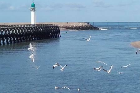 Le Capitaine Jack Lägenhet Trouville-sur-mer Exteriör bild